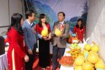 Hòa Bình: Nâng tầm thương hiệu cho bưởi Yên Thủy Hòa Bình: Nâng tầm thương hiệu cho bưởi Yên Thủy