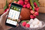 Bán vải tươi trên ví điện tử lập kỷ lục mới của giao dịch bán lẻ qua công nghệ