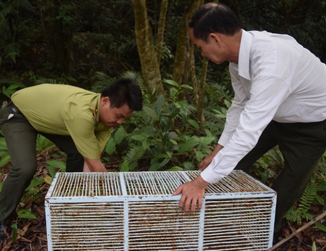 24 c&aacute; thể động vật hoang d&atilde; được về với về với rừng Đ&agrave; Nẵng