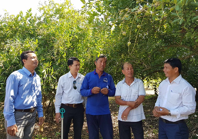 Ph&aacute;t triển hợp t&aacute;c x&atilde; kiểu mới l&agrave; xu thế tất yếu để n&acirc;ng cao gi&aacute; trị sản xuất n&ocirc;ng nghiệp