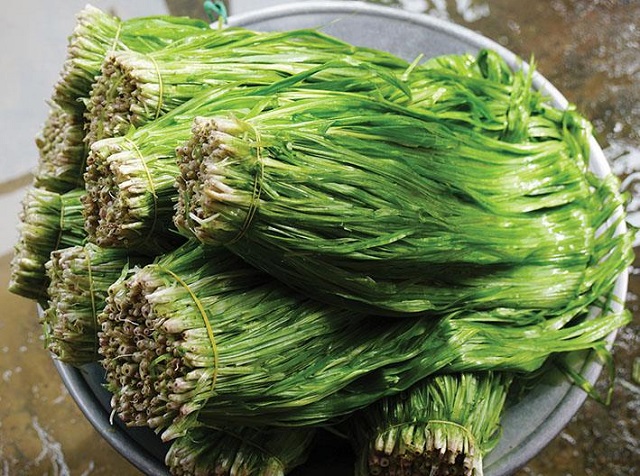 hẹ nước miền T&acirc;y