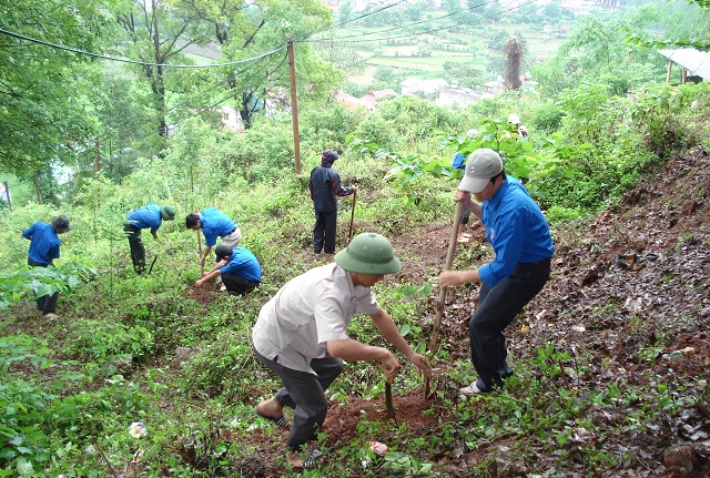 chuyển đổi mục đích sử dụng đất rừng