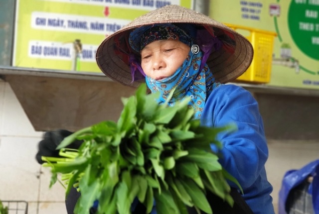 Rau an toàn Vĩnh Phúc lan tỏa theo hướng hữu cơ