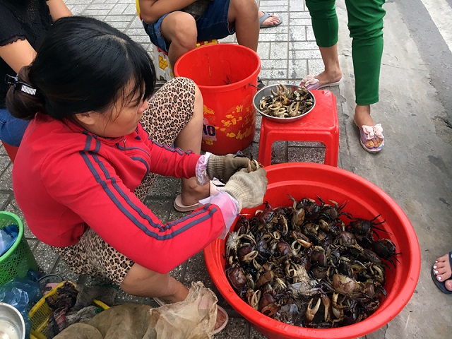 cua đồng nghệ an