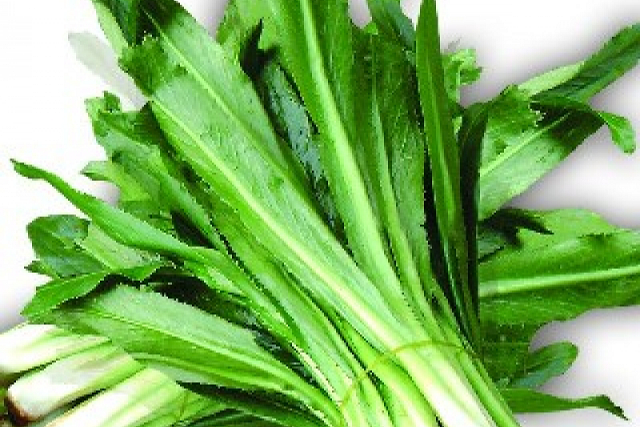 Mùi tàu rất dễ dùng, lại chứa nhiều giá trị dinh dưỡng. Tuy nhiên, khi sử dụng, bạn nên có những lưu ý