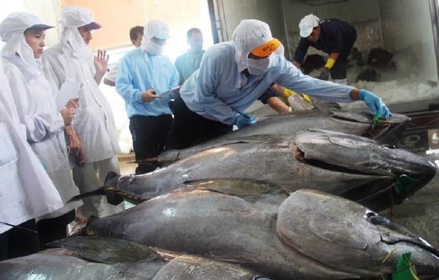 C&aacute; ngừ đ&oacute;ng hộp đang được nhiều nước trong khối EU ưa chuộng