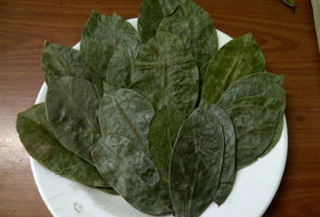 chữa đau dạ d&agrave;y bằng l&aacute; xăng s&ecirc;