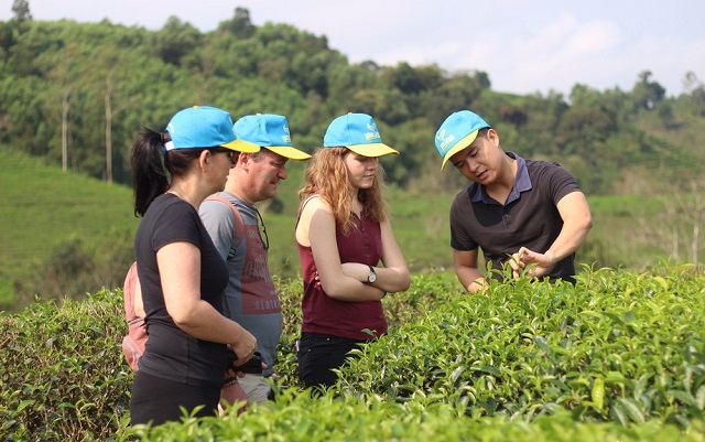 Hiện nay, Nghệ An đ&atilde; c&oacute; 48 sản phẩm đạt 3 sao trở l&ecirc;n theo Bộ ti&ecirc;u ch&iacute; OCOP Quốc gia