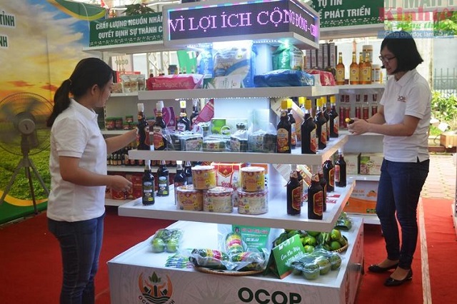 H&agrave; Tĩnh ph&acirc;n bổ hơn 8 tỷ đồng thực hiện chương tr&igrave;nh mỗi x&atilde; một sản phẩm