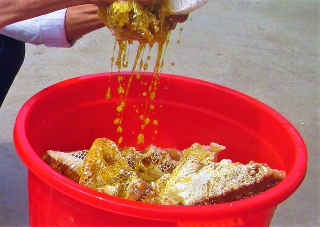 Để c&oacute; được sản phẩm &ldquo;Mật ong U Minh Hạ&rdquo; nổi tiếng như hiện nay, người d&acirc;n đ&atilde; đầu tư rất nhiều thời gian v&agrave; c&ocirc;ng sức cho nghề g&aacute;c k&egrave;o ong