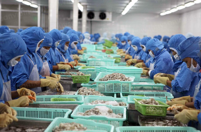 Xuất khẩu t&ocirc;m sang Canada tăng bất chấp dịch Covid - 19