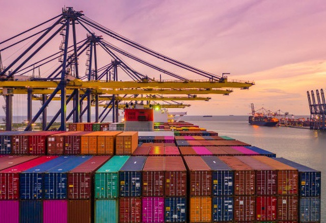 C&aacute;ch tăng thị phần mặt h&agrave;ng xuất khẩu v&agrave;o New Zealand