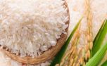 Giá gạo hôm nay 21/6: Chứng kiến một tuần giảm
