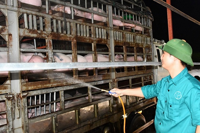 gi&aacute; thịt lợn h&ocirc;m nay 23/6