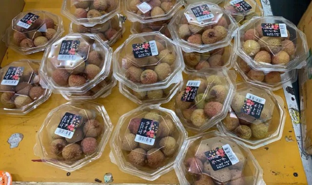 Vải thiều xuất khẩu sang Nhật Bản được kh&aacute;ch h&agrave;ng đ&aacute;nh gi&aacute; chất lượng tốt