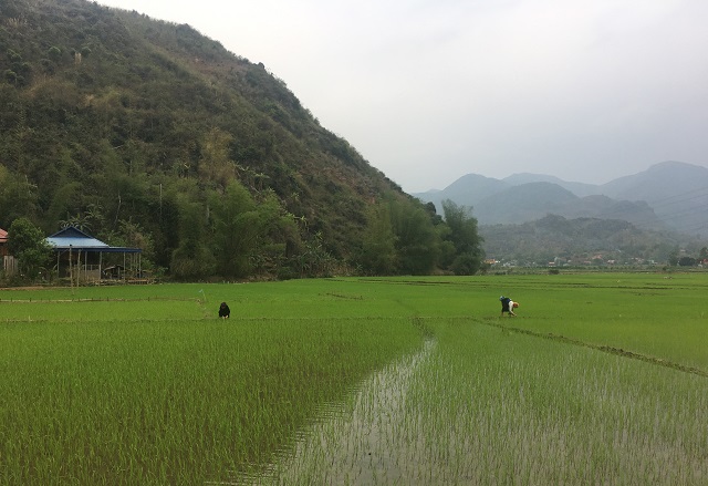 UBND tỉnh Sơn La vừa c&oacute; b&aacute;o c&aacute;o Bộ TN&amp;amp;MT về bổ sung điều chỉnh tăng chỉ ti&ecirc;u sử dụng đất đến năm 2020.