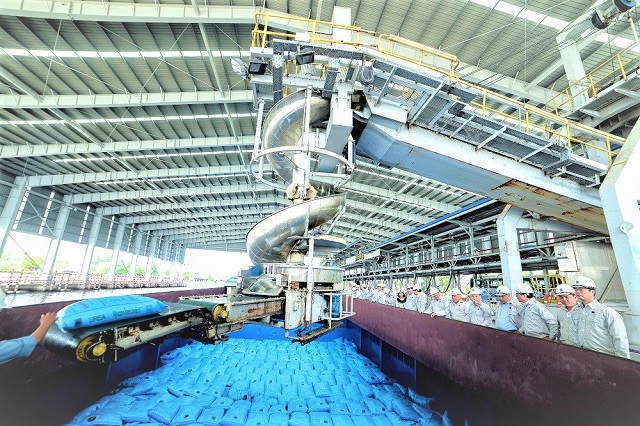 năm 2020, DCM đặt kế hoạch sản xuất hơn 1 triệu tấn phân bón