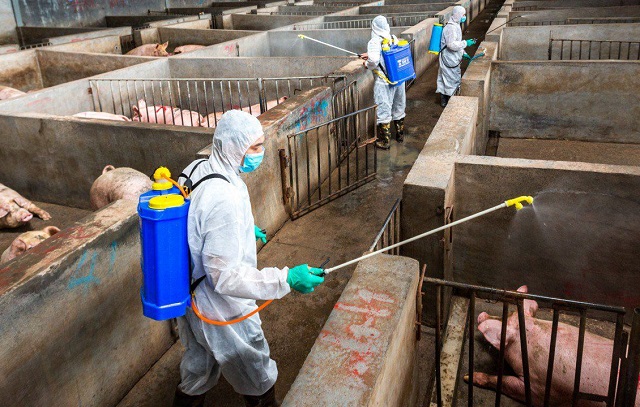 gi&aacute; thịt h&ocirc;m nay 27-6