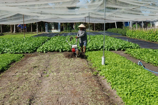 Cả nước c&oacute; hơn 25.000 hợp t&aacute;c x&atilde;