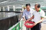 Nghệ An thu lợi lớn từ nuôi tôm công nghệ cao