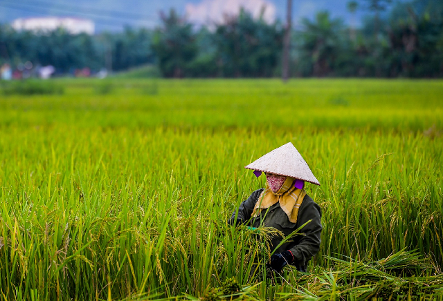 l&uacute;a J02 tại H&ograve;a B&igrave;nh