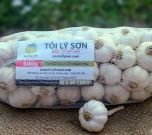 Quảng Ngãi: Tỏi Lý Sơn chính thức được cấp chứng nhận chỉ dẫn địa lý Quảng Ngãi: Tỏi Lý Sơn chính thức được cấp chứng nhận chỉ dẫn địa lý