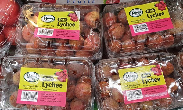 Vải thiều Bắc Giang sẽ được bày bán trong một số siêu thị ở Singapore