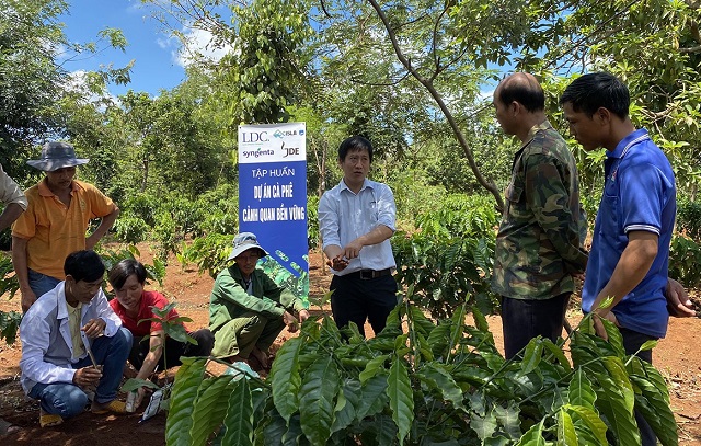 Syngenta đầu tư 2 tỷ USD v&agrave;o n&ocirc;ng nghiệp bền vững tới năm 2025