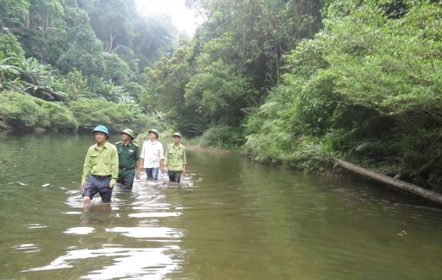 M&ocirc;̣t góc Khu dự trữ thi&ecirc;n nhi&ecirc;n Đ&ocirc;̣ng Ch&acirc;u - Khe Nước Trong