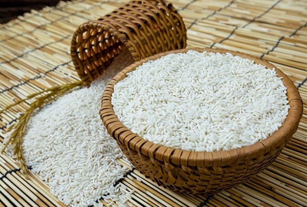 Nếp c&aacute;i hoa v&agrave;ng Thụy L&acirc;m Đ&ocirc;ng Anh được trồng theo phương ph&aacute;p th&acirc;m canh l&uacute;a cải tiến SRI