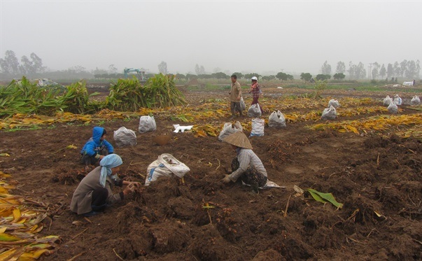 nghẹ ch&iacute; t&acirc;n hưng y&ecirc;n
