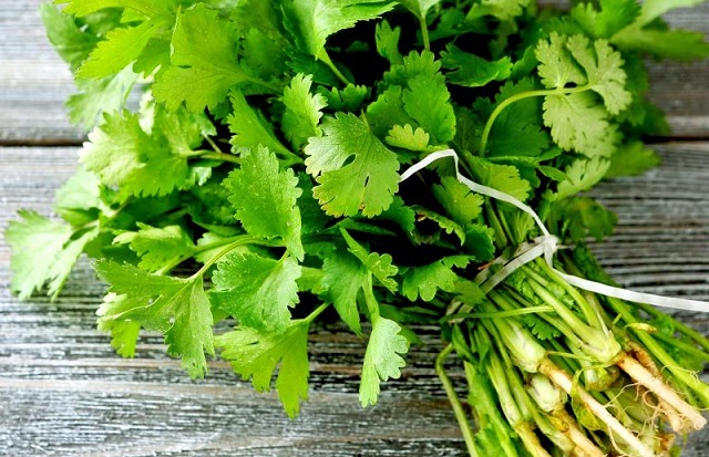 tỉnh Bạc Li&ecirc;u đ&aacute;nh gi&aacute; l&agrave; giống c&acirc;y gia vị chủ lực, được người ti&ecirc;u d&ugrave;ng đ&aacute;nh gi&aacute; cao về chất lượng