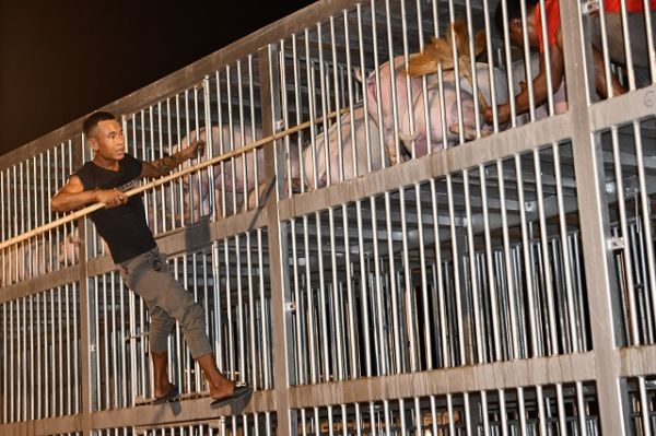 Giá thịt hôm nay 6/7: Lợn hơi ở một số địa phương tăng nhẹ