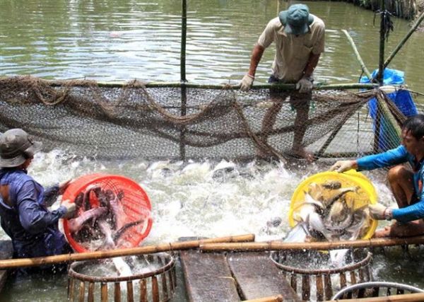 Mở rộng diện tích nuôi thủy sản tại các vùng sinh thái