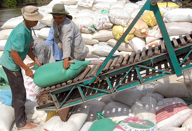 Cập nhật gi&aacute; gạo chiều ng&agrave;y 6/7: Gạo trong nước tăng nhẹ