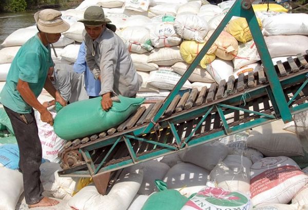 Giá gạo hôm nay 6/7: Phiên chiều trong nước tăng nhẹ