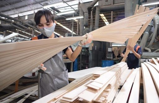 Gỗ dán Việt Nam đang đối mặt với nhiều rủi ro về phòng vệ thương mại