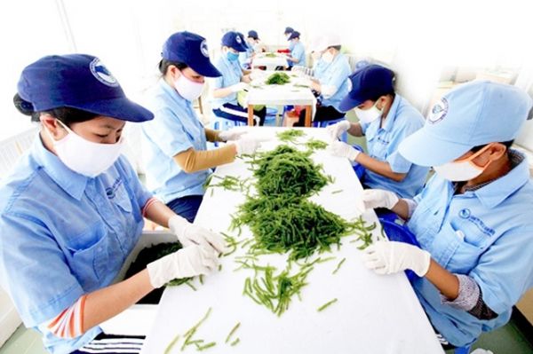 Tiêu chuẩn ISO 31000:2018: Giải pháp giảm thiểu rủi ro hiệu quả cho doanh nghiệp