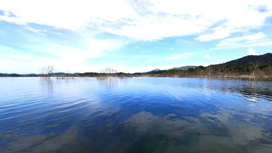 Hà Tĩnh: Thí điểm nuôi cá lồng bè trong lòng hồ thủy điện Ngàn Trươi