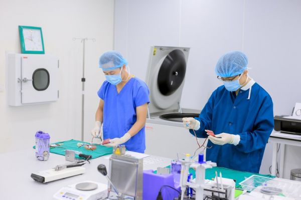 Thủ tướng ký quyết định thành lập Hội đồng Y khoa Quốc gia