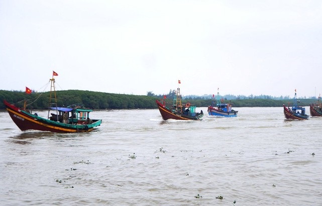 Tổ chức c&aacute;c loại h&igrave;nh dịch vụ nhằm hỗ trợ cho c&aacute;c loại nghề khai th&aacute;c hải sản