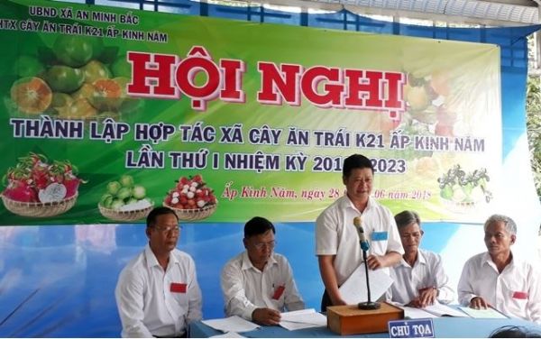 Vùng Nguyên Liệu: Phát triển kinh tế theo hướng tập thể