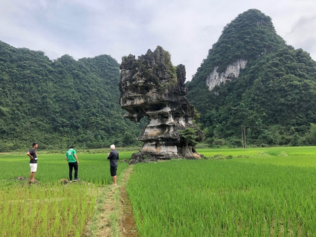 Đánh giá khảo sát Công viên địa chất toàn cầu UNESCO Non nước Cao Bằng