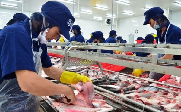 Điểm sáng cho xuất khẩu cá tra tại thị trường Anh và Singapore