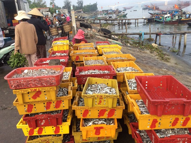 l&agrave;ng nghề nước mắm truyền thống Cửa Khe (thuộc th&ocirc;n 6, x&atilde; B&igrave;nh Dương, huyện Thăng B&igrave;nh, tỉnh Quảng Nam