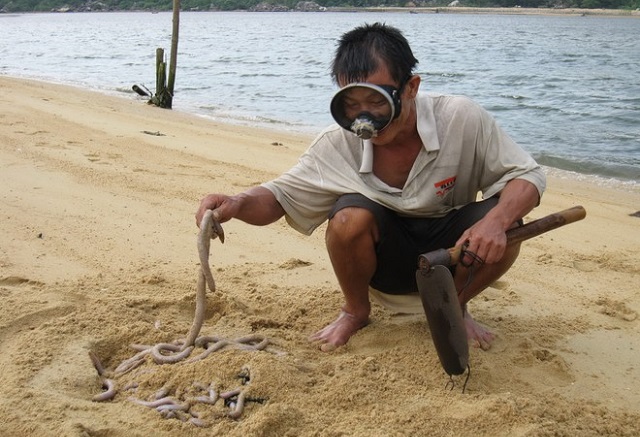 nghề đào trùn nước ở đáy sông