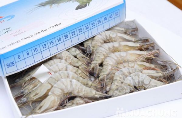 Tôm Cà Mau: Phát huy thế mạnh để vượt khó