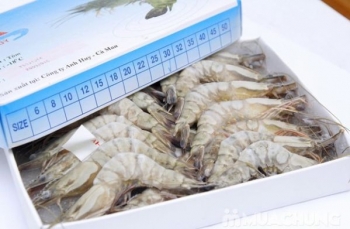 Tôm Cà Mau: Phát huy thế mạnh để vượt khó