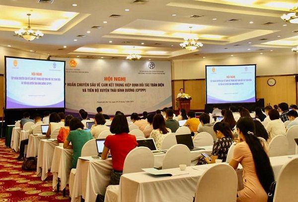 Hiệp định CPTPP: Việt Nam chưa tận dụng được hết những cơ hội