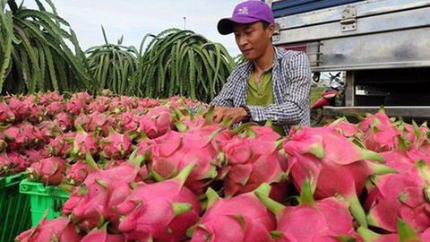 Gỡ ‘nút thắt’ cho nông sản